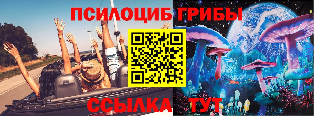 Псилоцибиновые грибы Psilocybine cubensis  Псилоцибиновые грибы GOLDEN TEACHER  как найти закладки  Вход с VPN  Рассказово 